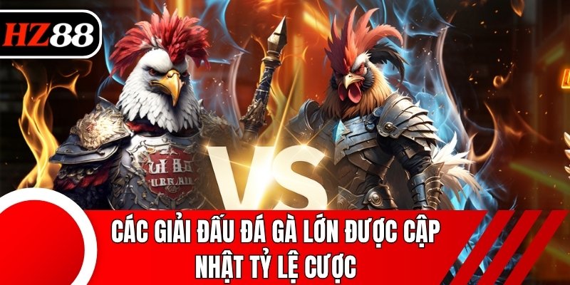 Các giải đấu đá gà lớn được cập nhật tỷ lệ cược